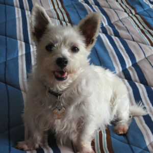 Meet your Posher, Posh